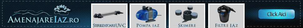 Amenajare Iaz